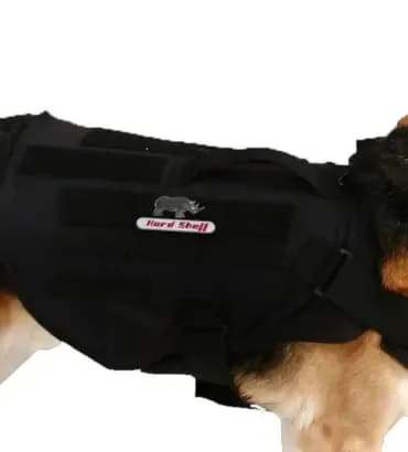 German Shepherd wearing Hard Shell K9 Ballistic Vest, offering chest and torso protection for working dogs.