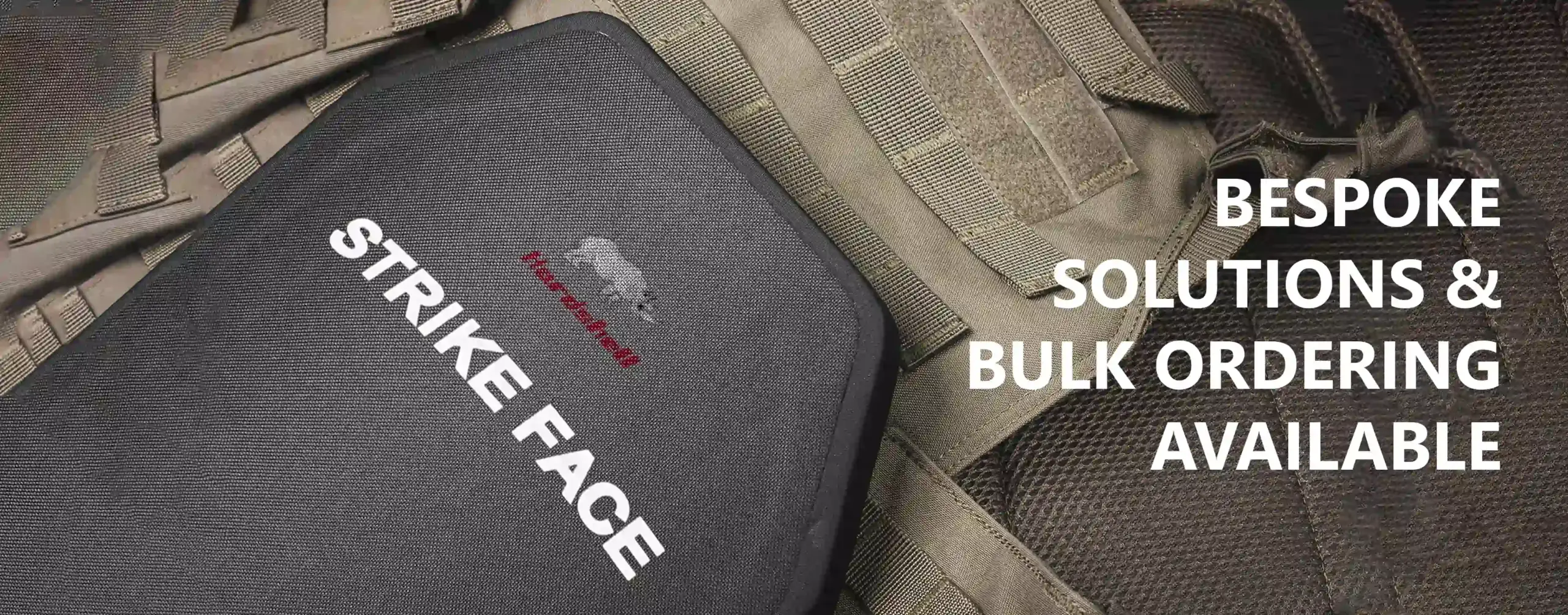 ballistic plate with body armor vest